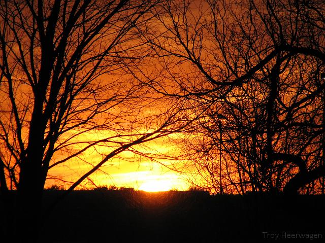 c1164 sunset sky trees 